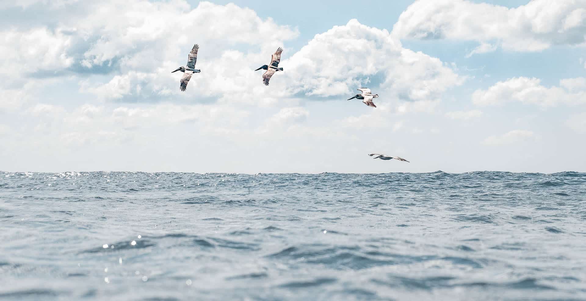 15 Tips to Improve Your Surf Chops