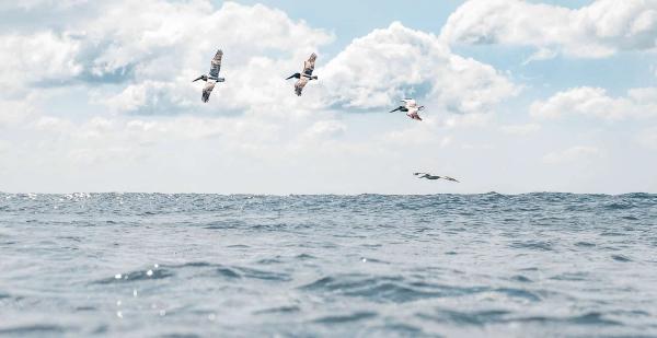15 Tips to Improve Your Surf Chops