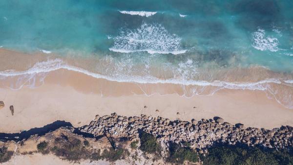 Local Flavours and Thrills: A Guide to the Area Around Green Bowl Surf Camp