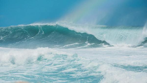 Understanding Ocean Waves: What Is A Swell?