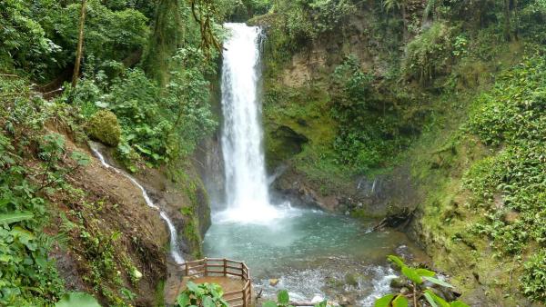 La Paz Waterfall Gardens: Costa Rica’s Most Beautiful Rainforest