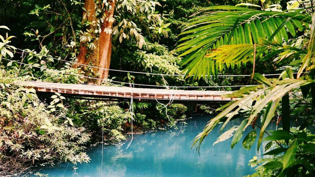 Rio Celeste: The Magical Blue River In Costa Rica