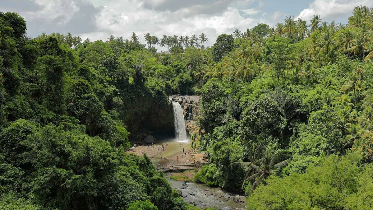 Top 10 Things To Do In Ubud, Bali