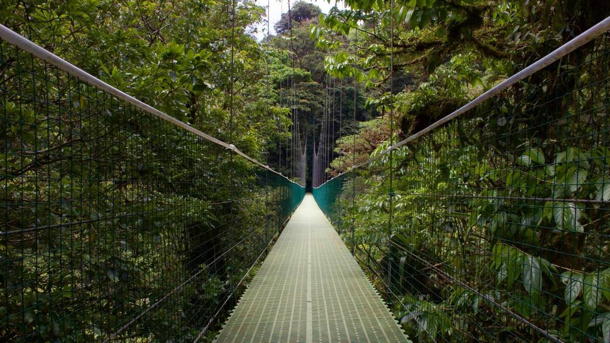 10 Best Things To Do In Monteverde Cloud Forest