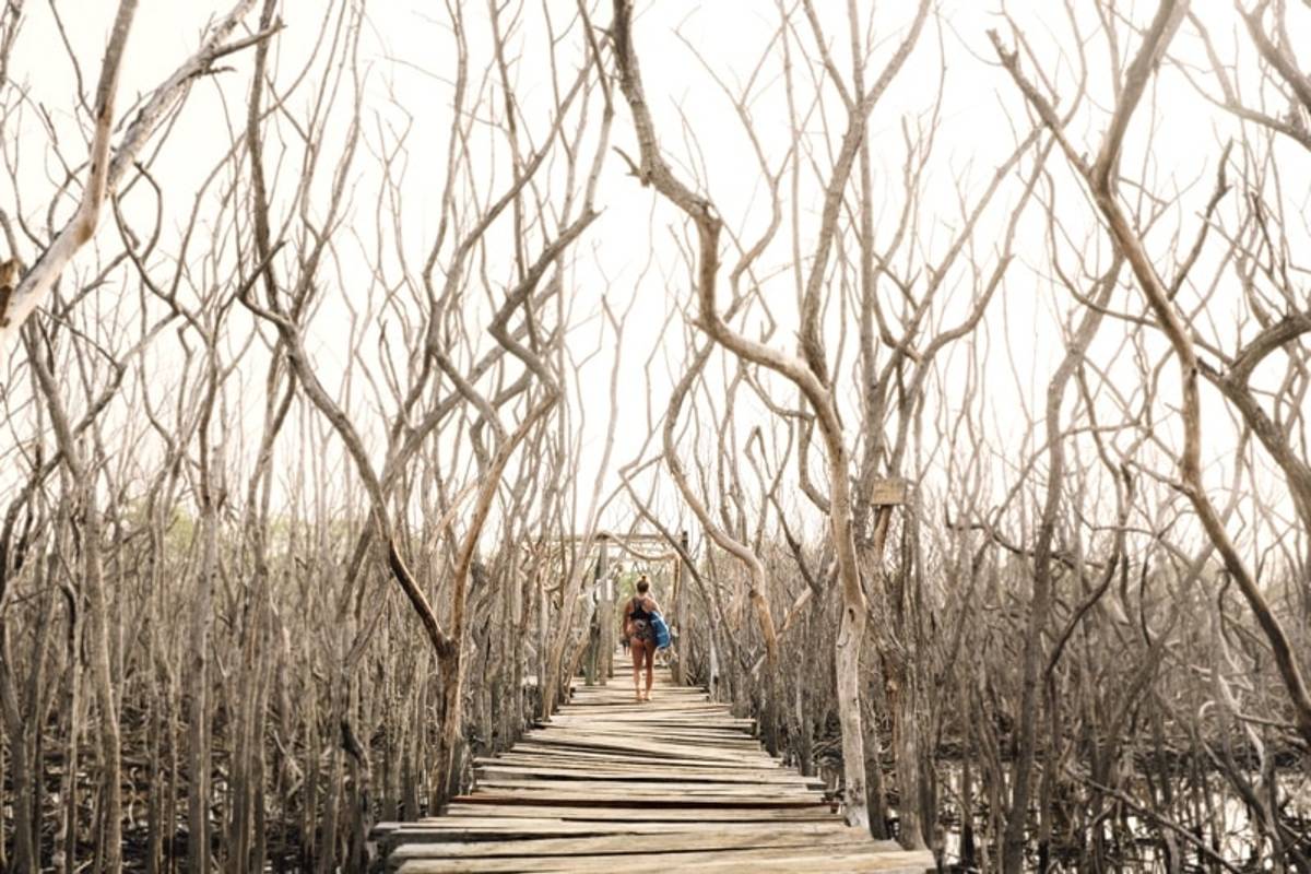 Pura Vida in Costa Rica: What does it actually mean?