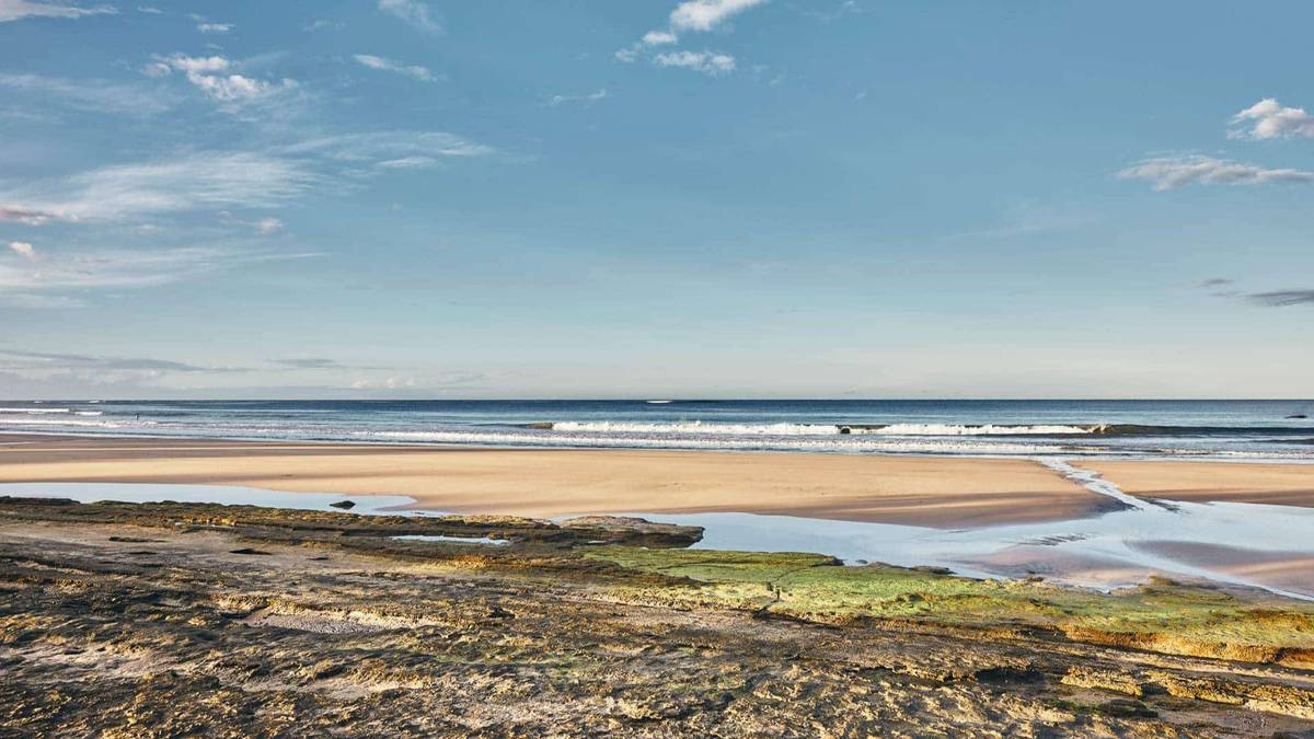 An image of a beach in avellanas in costa rica