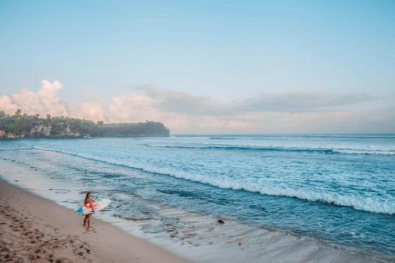 A Beginner’s Guide to Understanding the Basics of Reading a Wave
