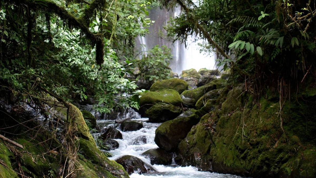 La Paz Waterfall Gardens: Costa Rica’s Most Beautiful Rainforest