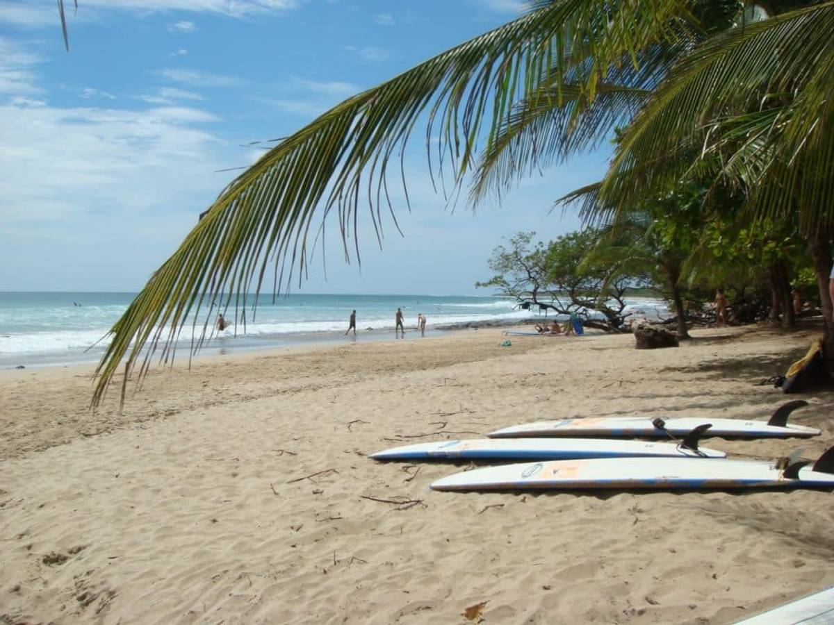 All About Booking Surf Lessons in Costa Rica