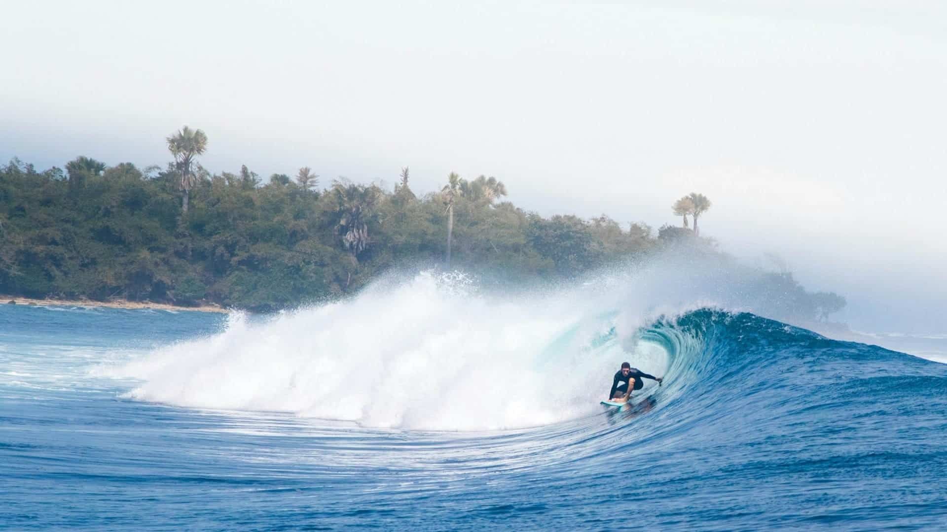 The Different Types of Surfing