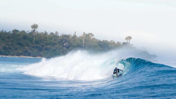 The Different Types of Surfing