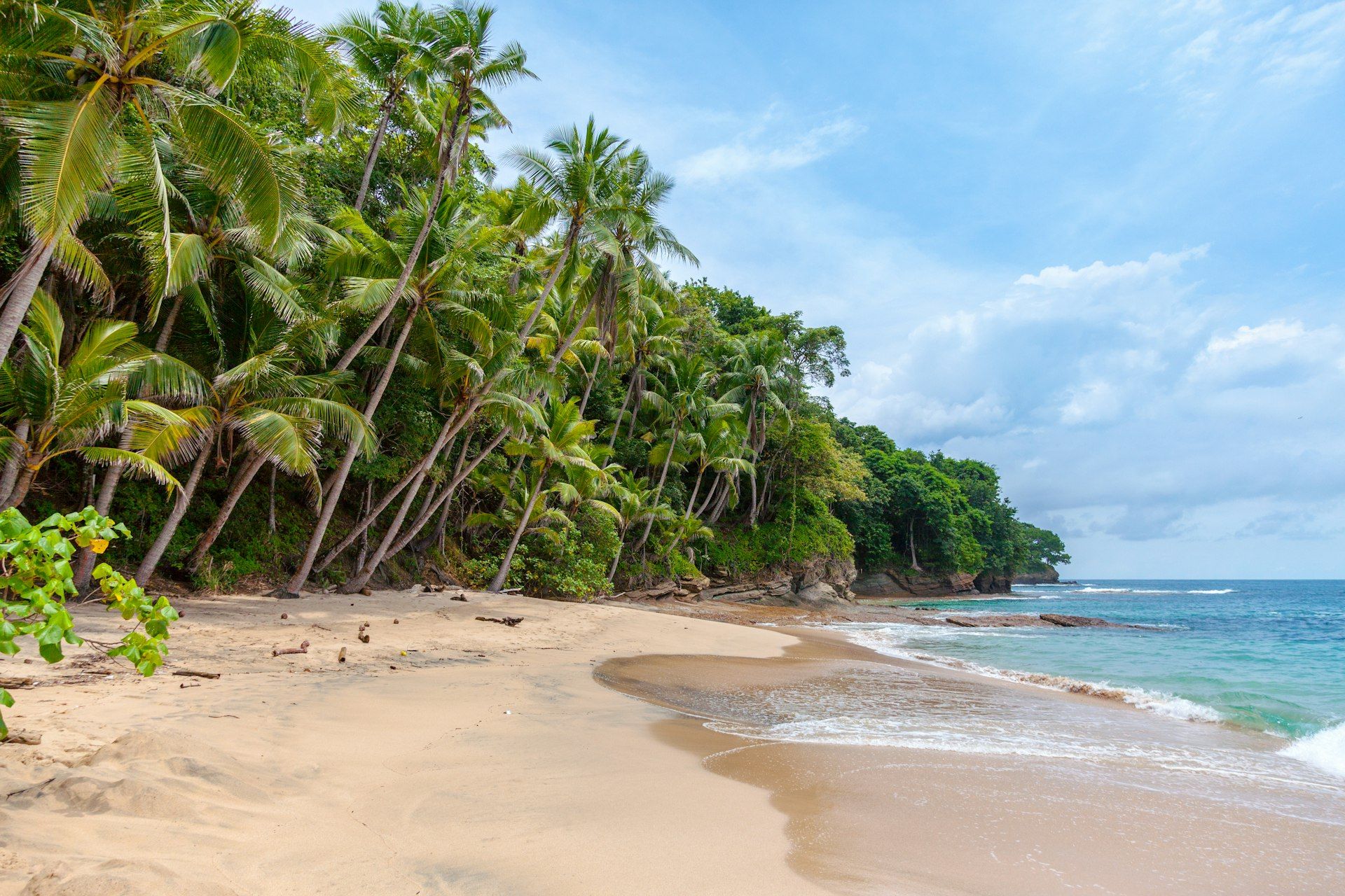 Wildlife and jungle at the Costa Rica surf camp