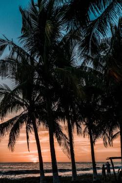 Ultimate Guide To Surfing In Kuta Lombok