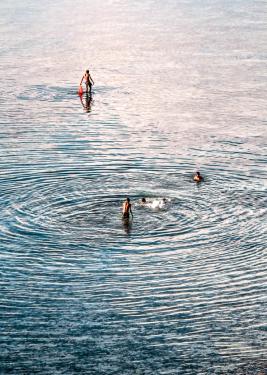 All You Need To Know Before Surfing At Nias