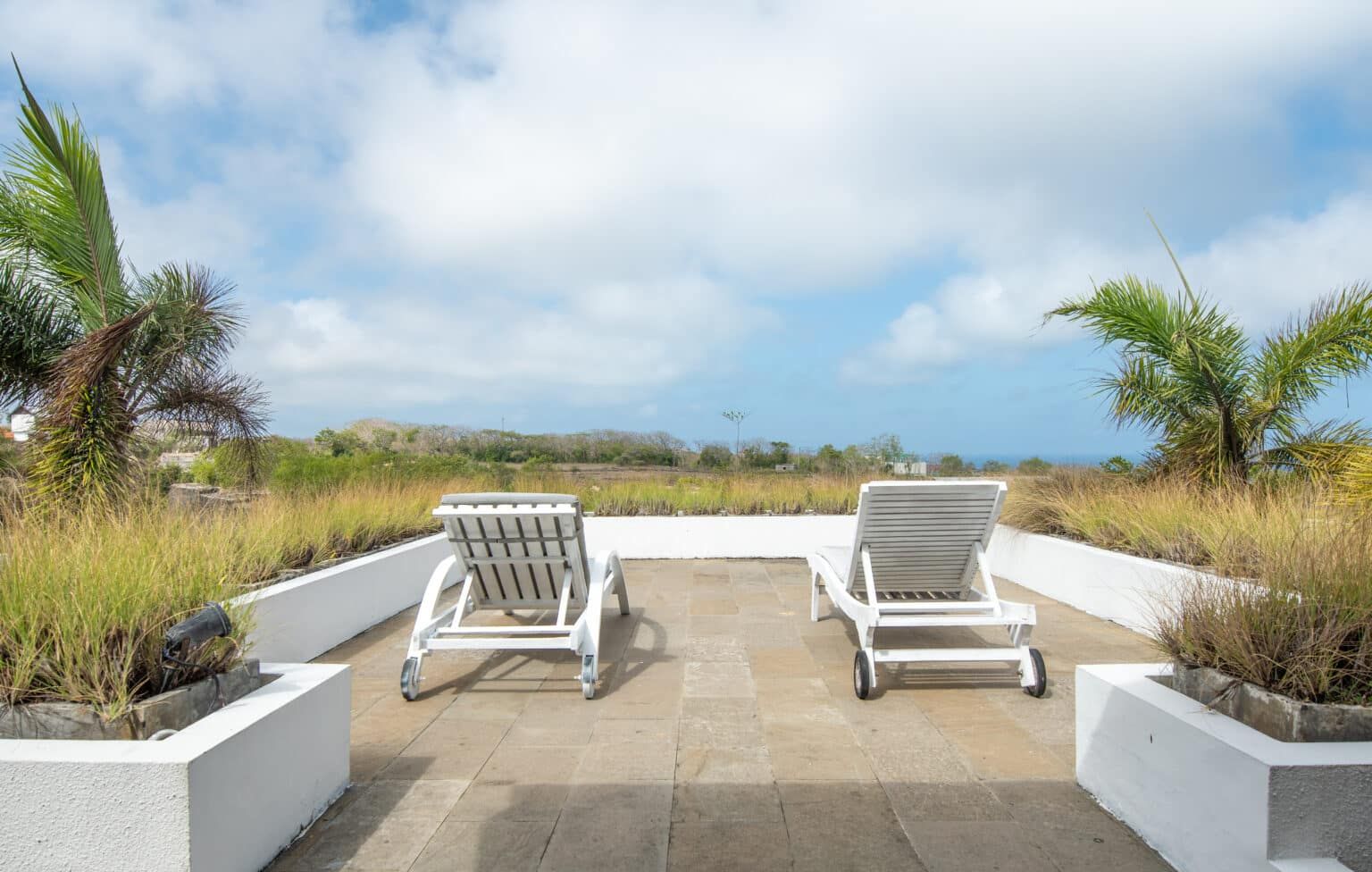 Shared Twin Fin Suites