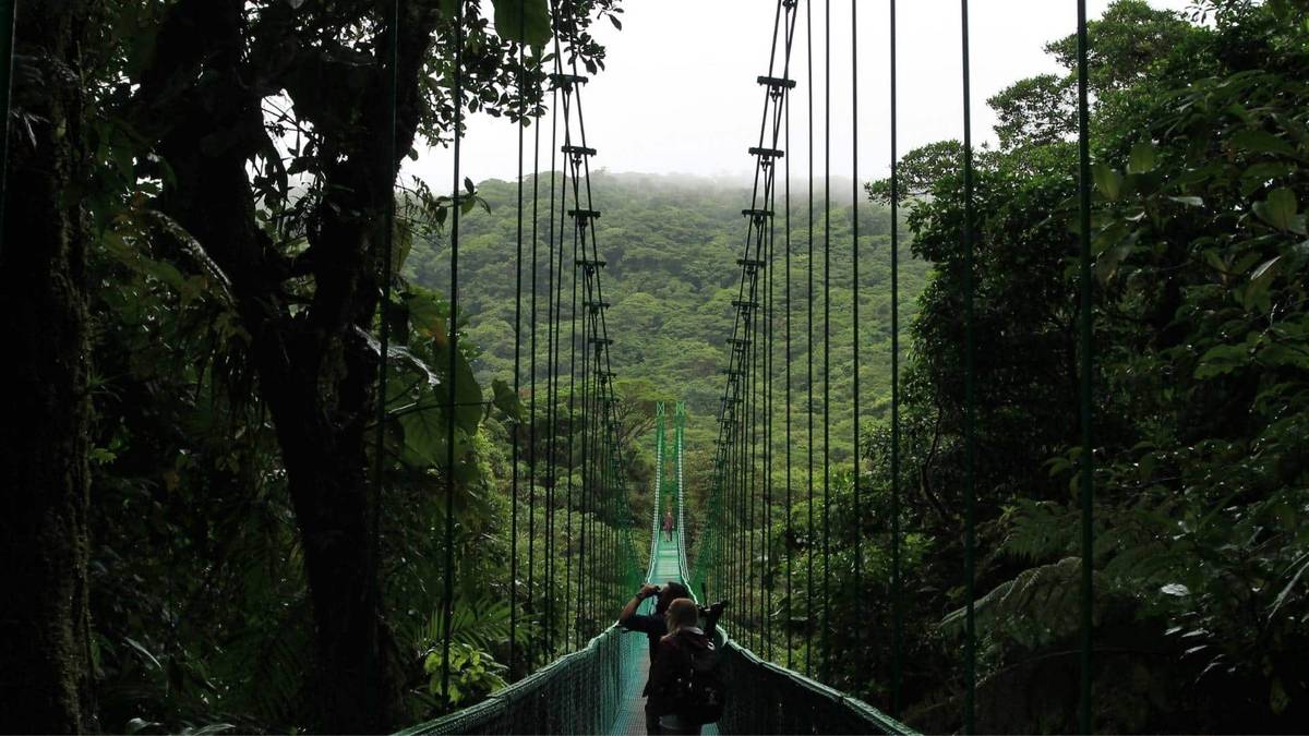 Bridge leading to cloud covered jungle
