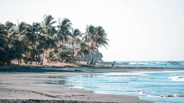 Choosing the Perfect Surf Retreat: What to Look for in Beach Hotels in Costa Rica