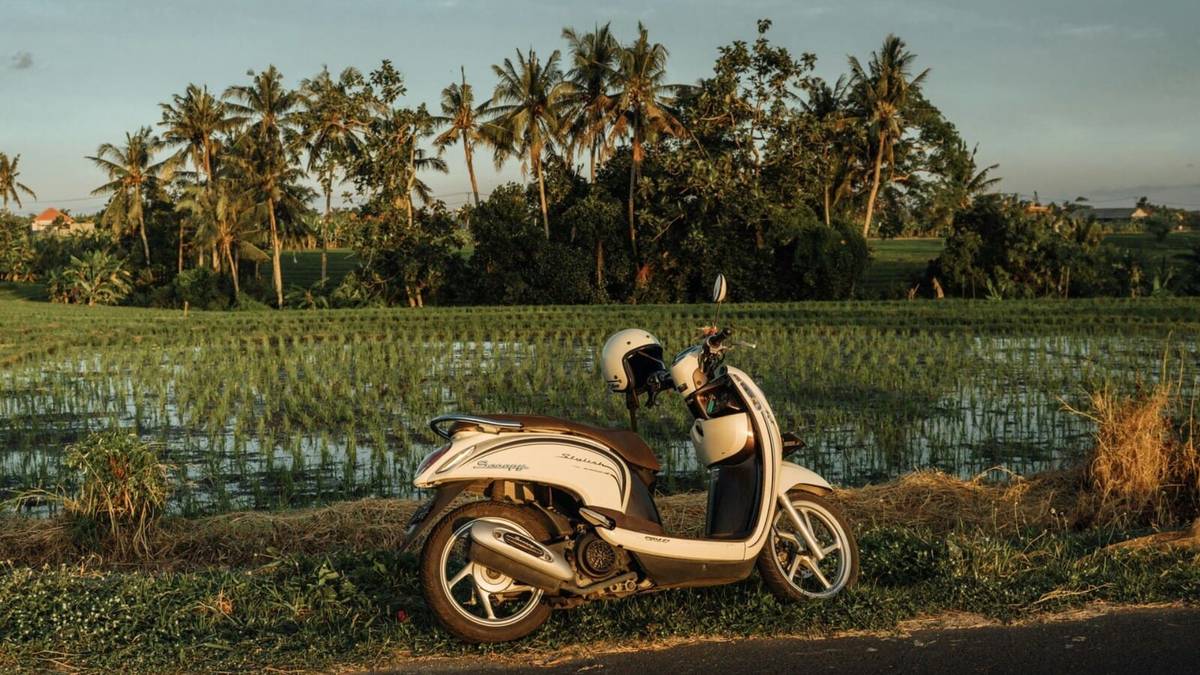 Bali on a Budget: How Off-Peak Surfing Saves You Money