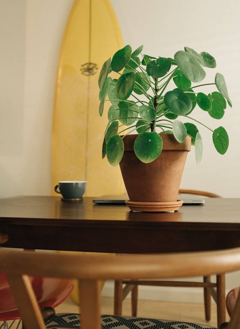 Riding the Wave of Sustainability – Eco-Friendly Surfing Tips