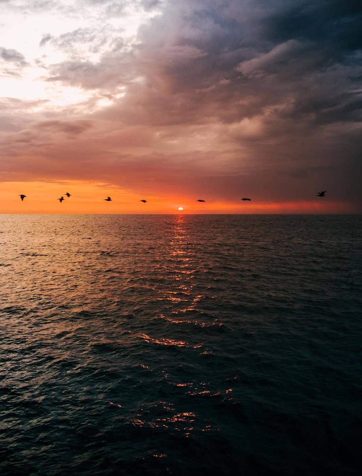 Nicaragua Sunset Birds Flying