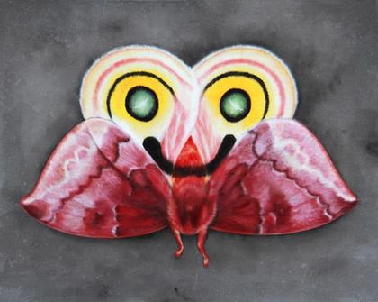 Artwork Oz-Moth by Coco Bergholm