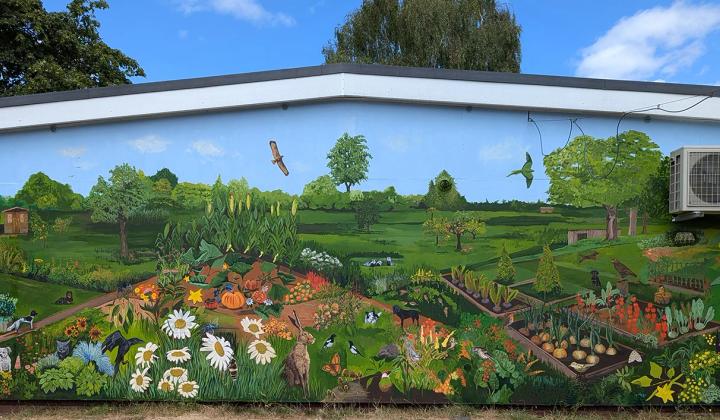 Pamina Stewart’s mural across the Moor Green clubhouse, filled with allotment plots, flowers, birds and wildlife beneath a blue sky.