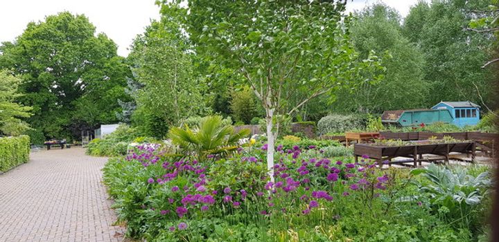 Seasonal planting in the television gardens at Kings Heath Park