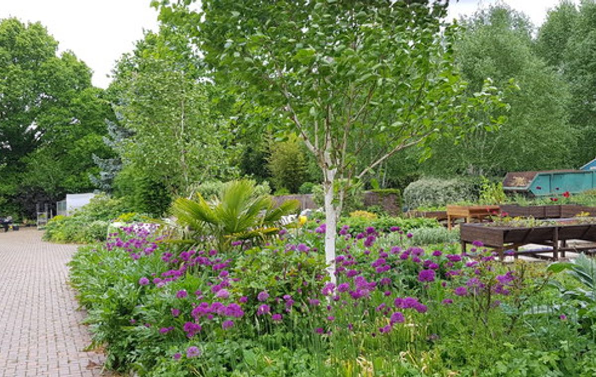 Seasonal planting in the television gardens at Kings Heath Park