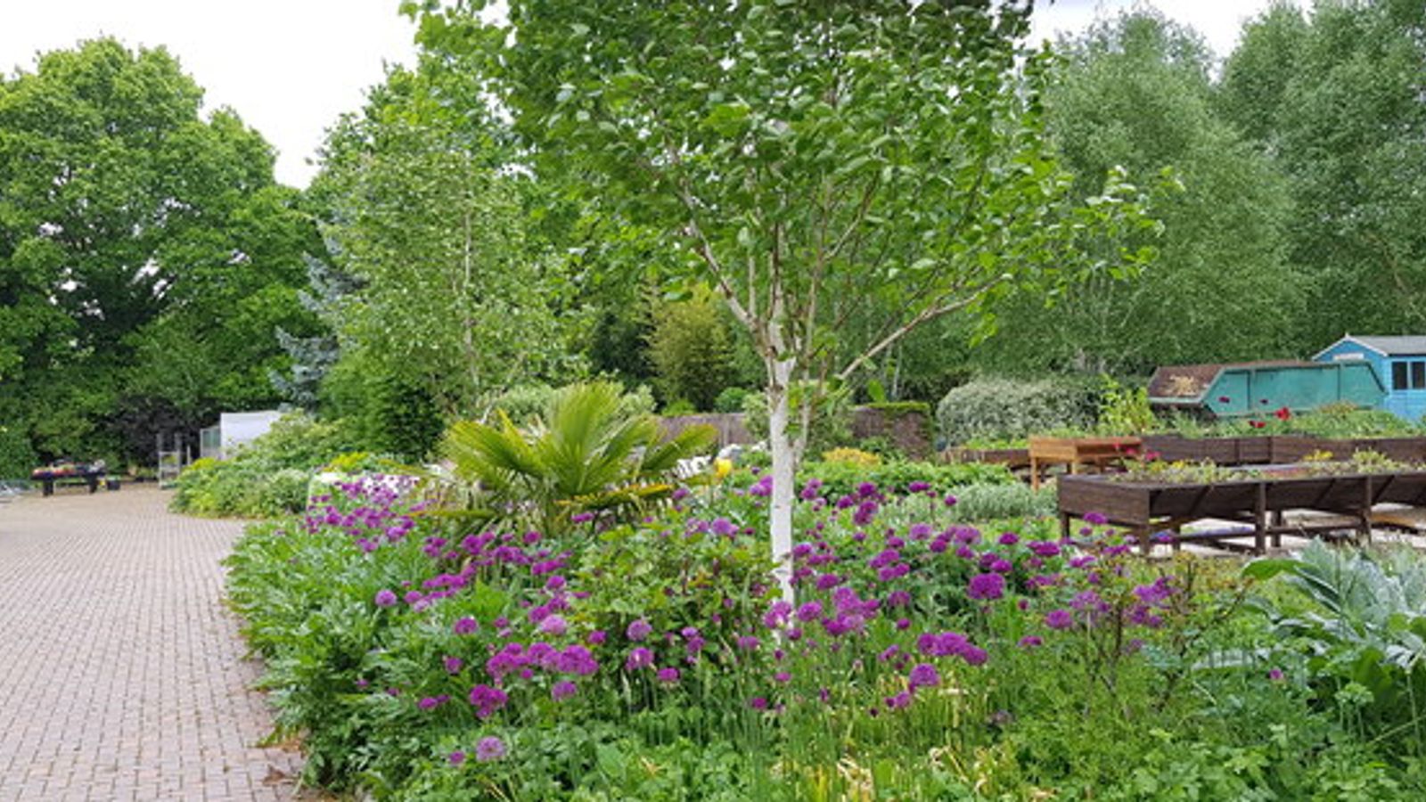 Seasonal planting in the television gardens at Kings Heath Park
