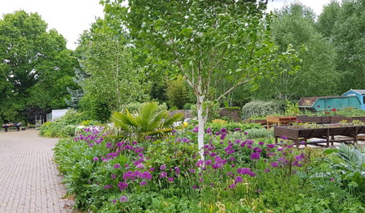 Seasonal planting in the television gardens at Kings Heath Park