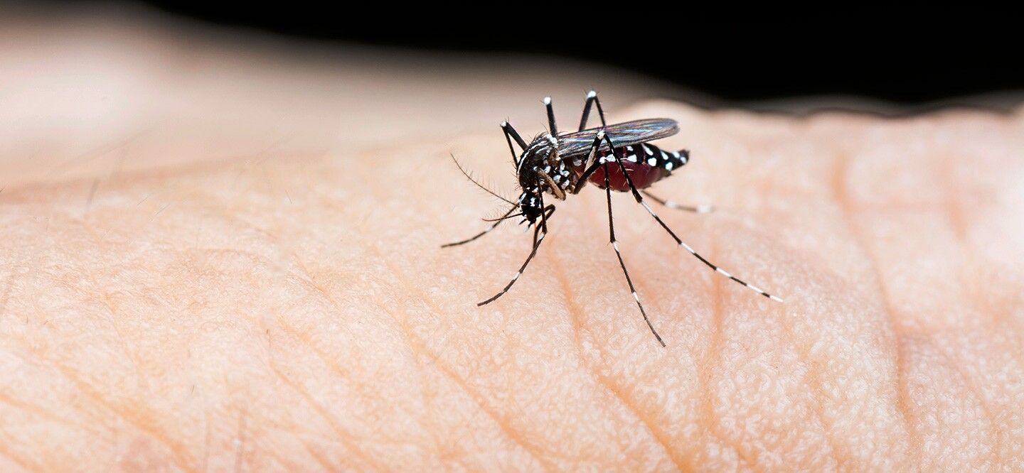 Dengue Fever and Monsoon Season: Keeping Your Child Safe