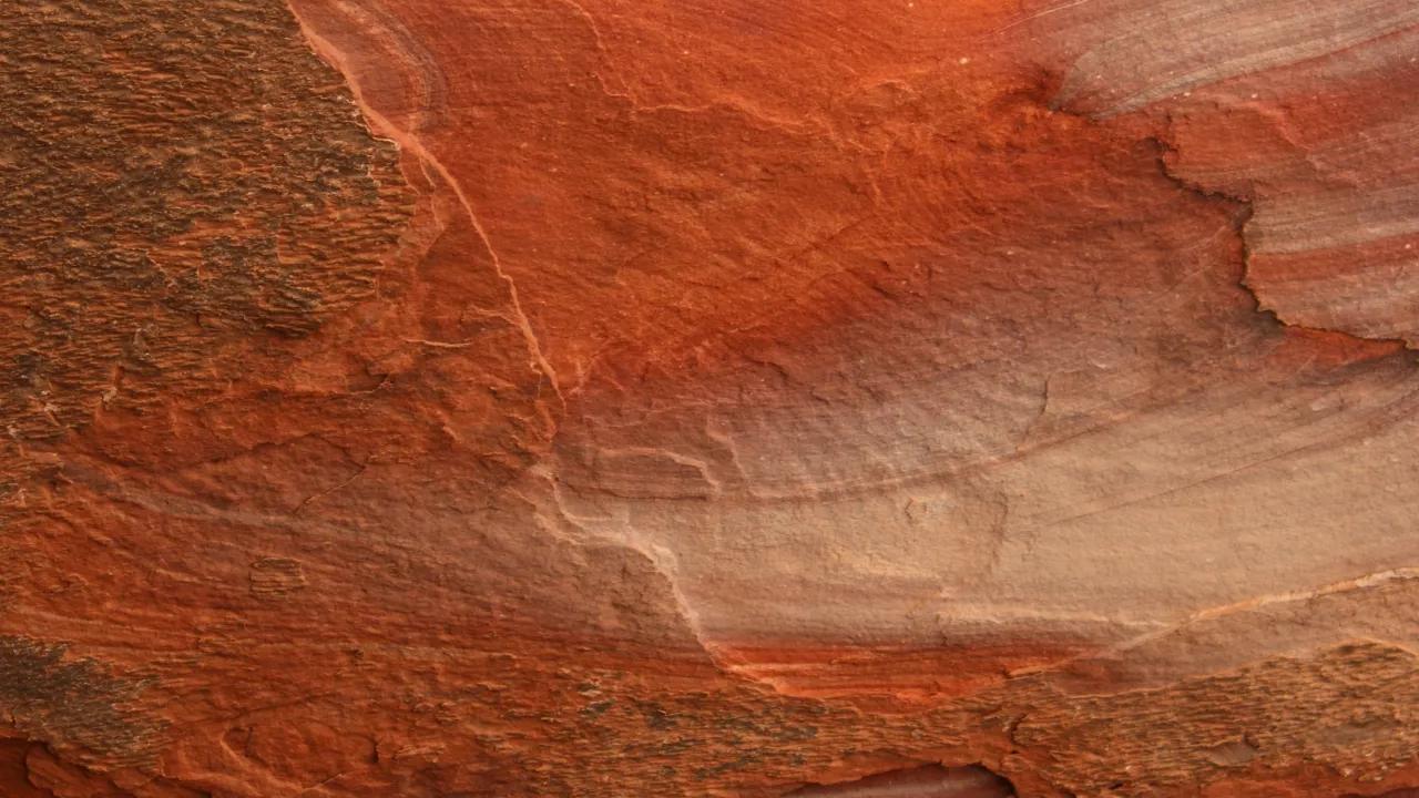 Textured earth and stone evoke tension and growth in life.