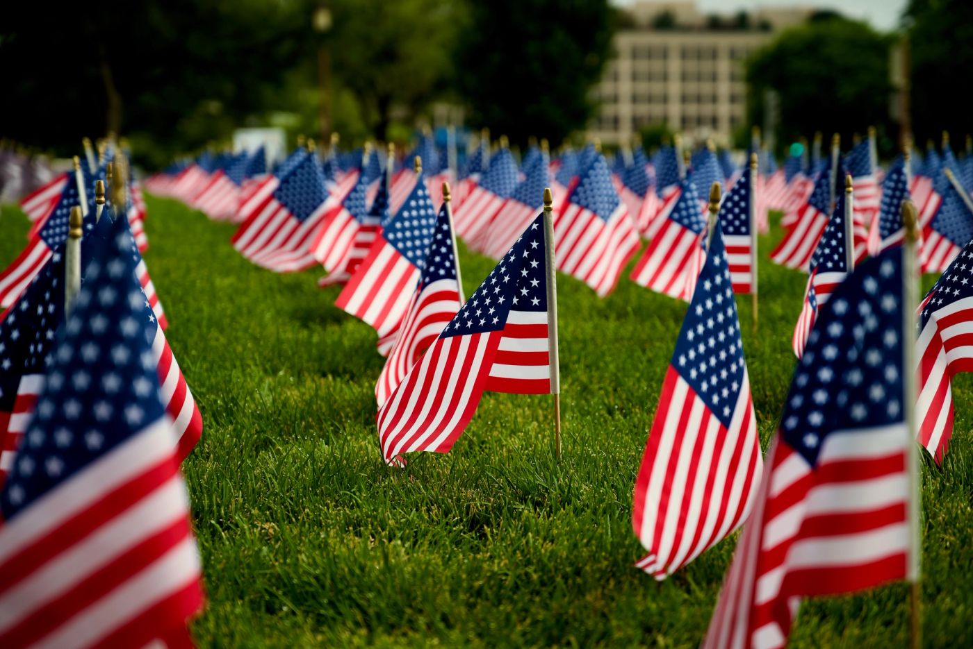 American flags on the lawn of the National Mall