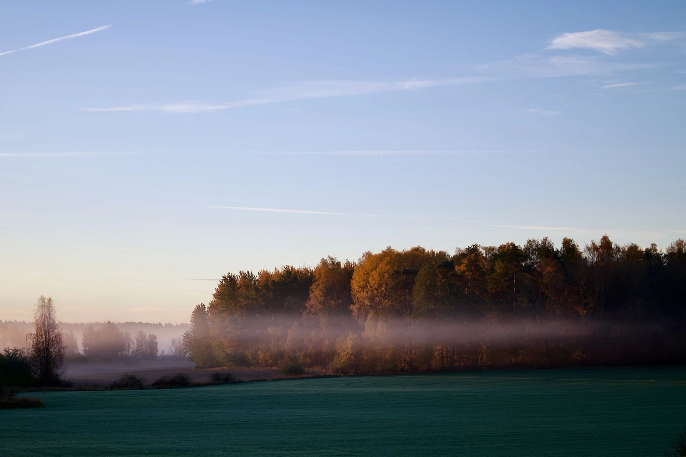 Morning fog rolled in during a sunrise. Serene nature with fields and forest.