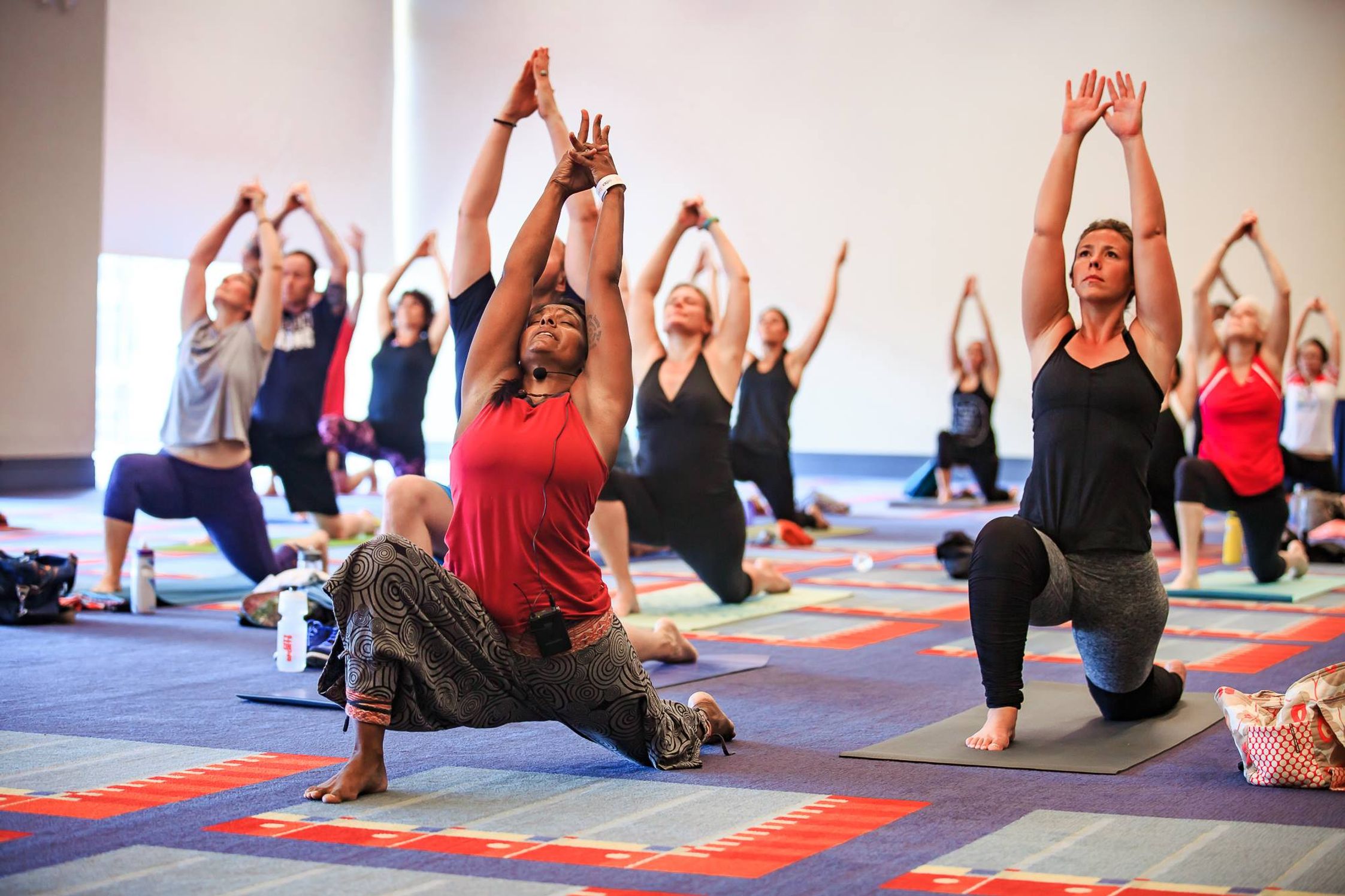 A group of yogis doing yoga on the mat
