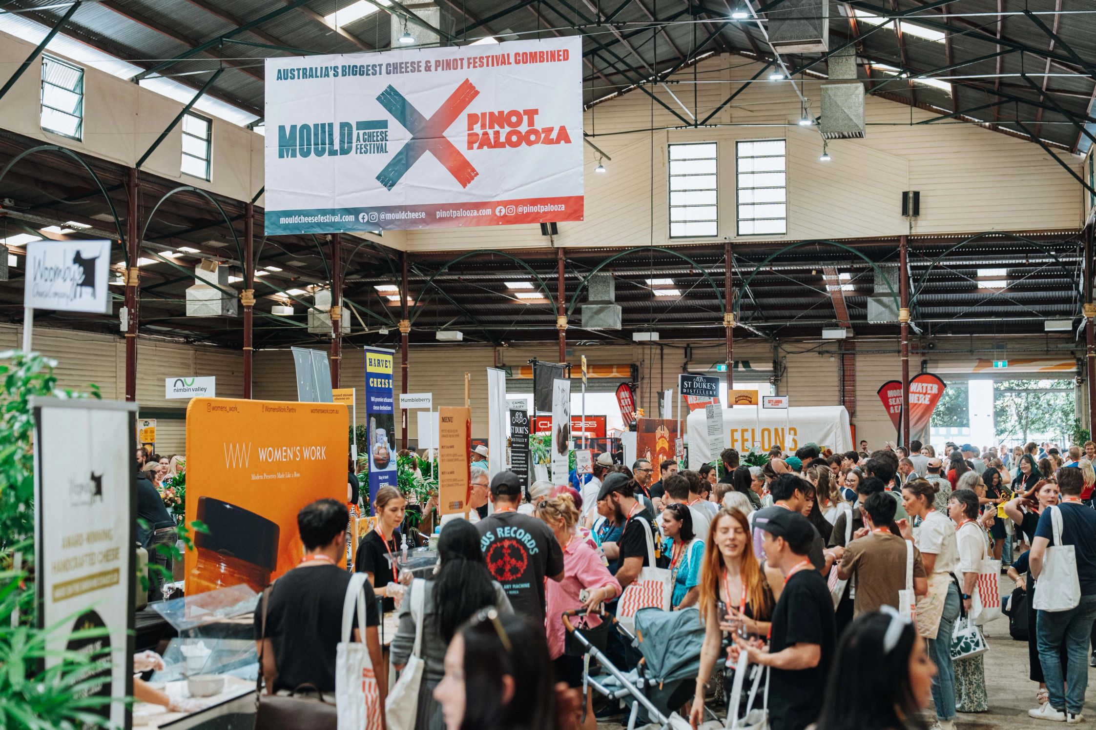 Mould x Pinot Palooza in Brisbane Day 3 - crowded festival in a warehouse venue