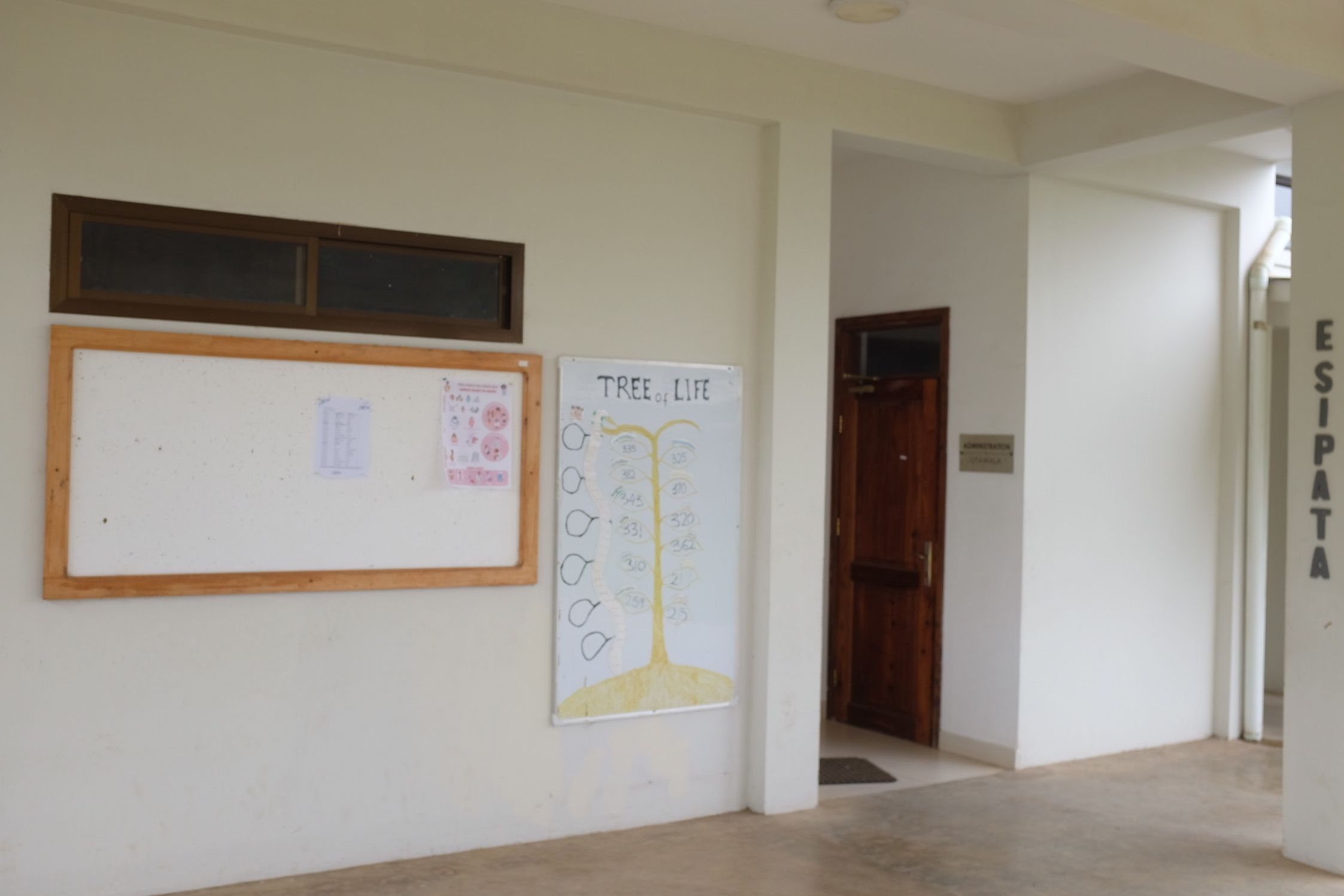 The whiteboard showing Tree of Life