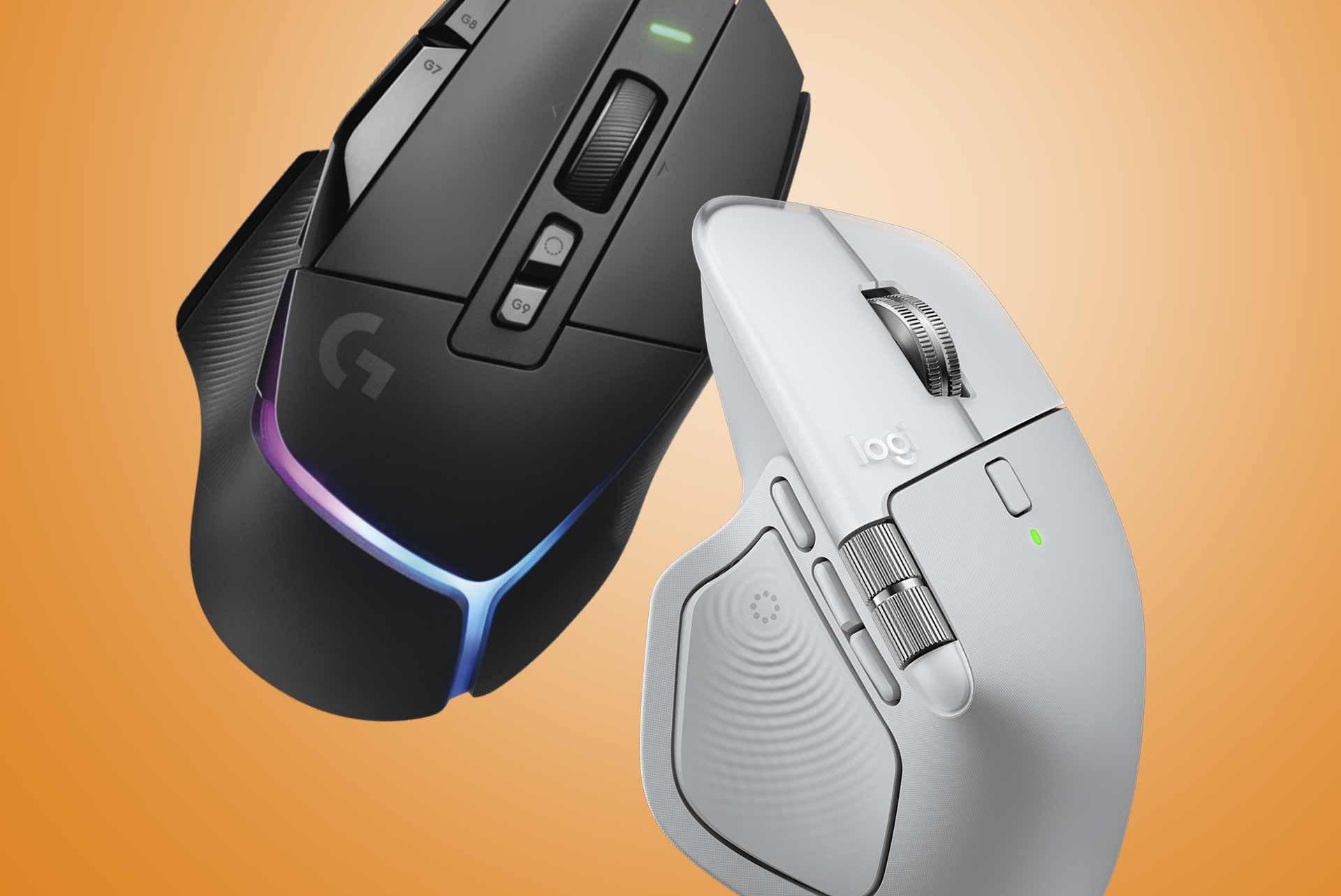 Mouse