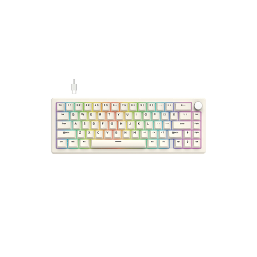 FANTECH ATOM X66 MK614 Mechanical Gaming Keyboard - Retro BG