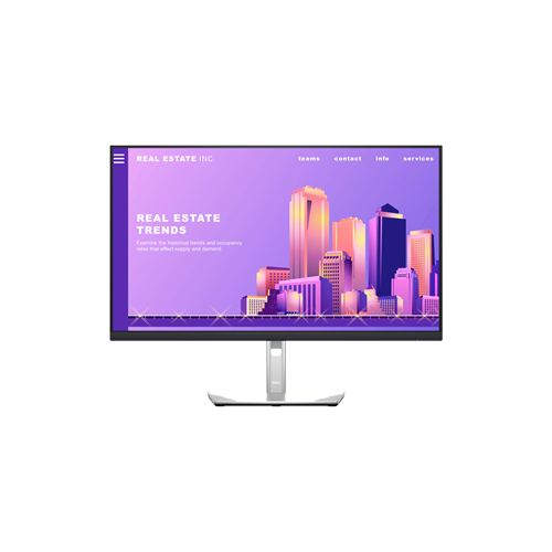 2634-DELL PROFESSIONAL 27" P2722H MONITOR