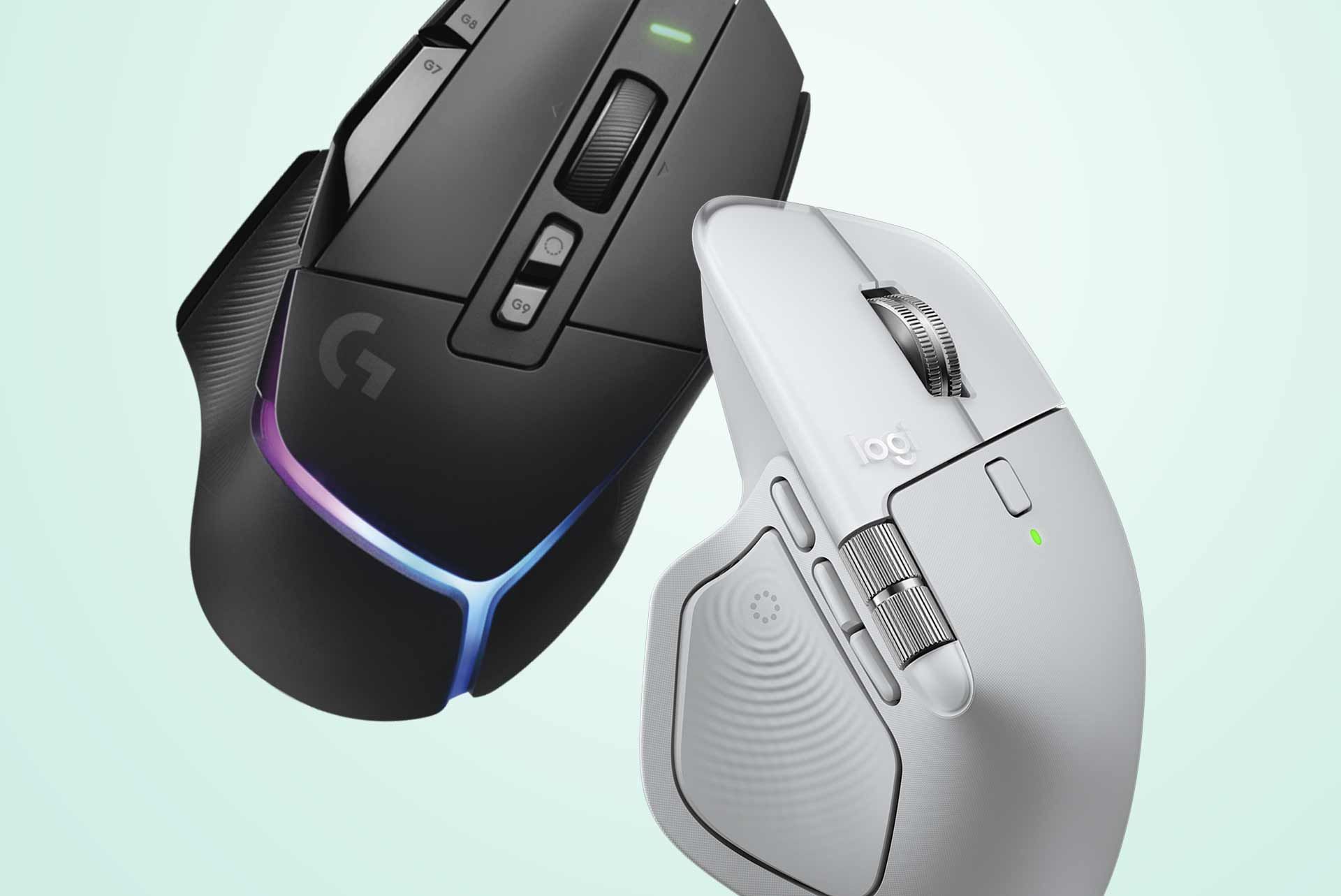 Mouse