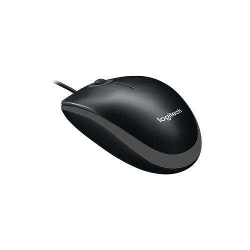 4969-Logitech B100 Mouse