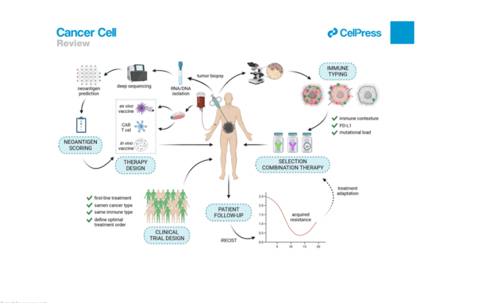 Review publication in Cancer Cell