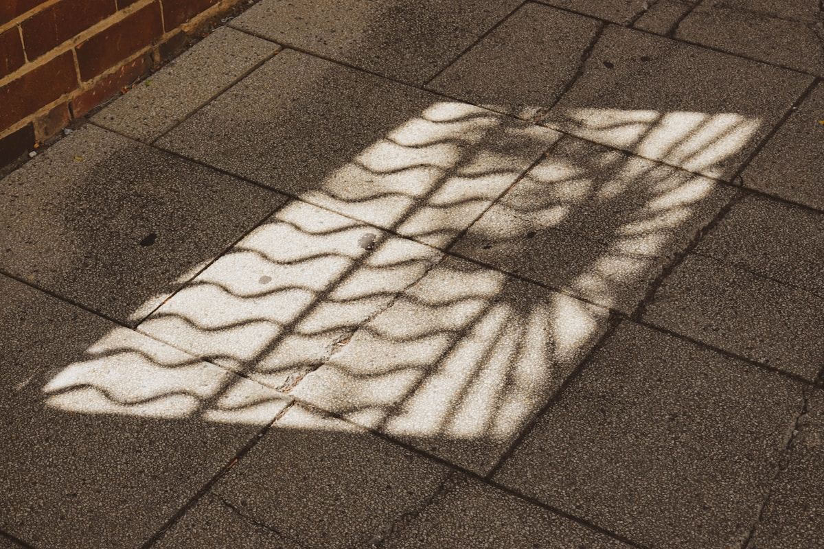 a shadow of a tree on a sidewalk