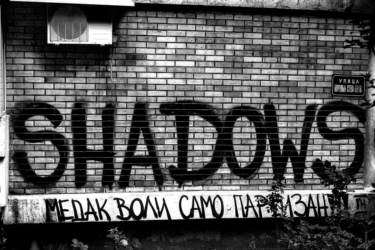 Graffiti on a brick wall spells "shadows."