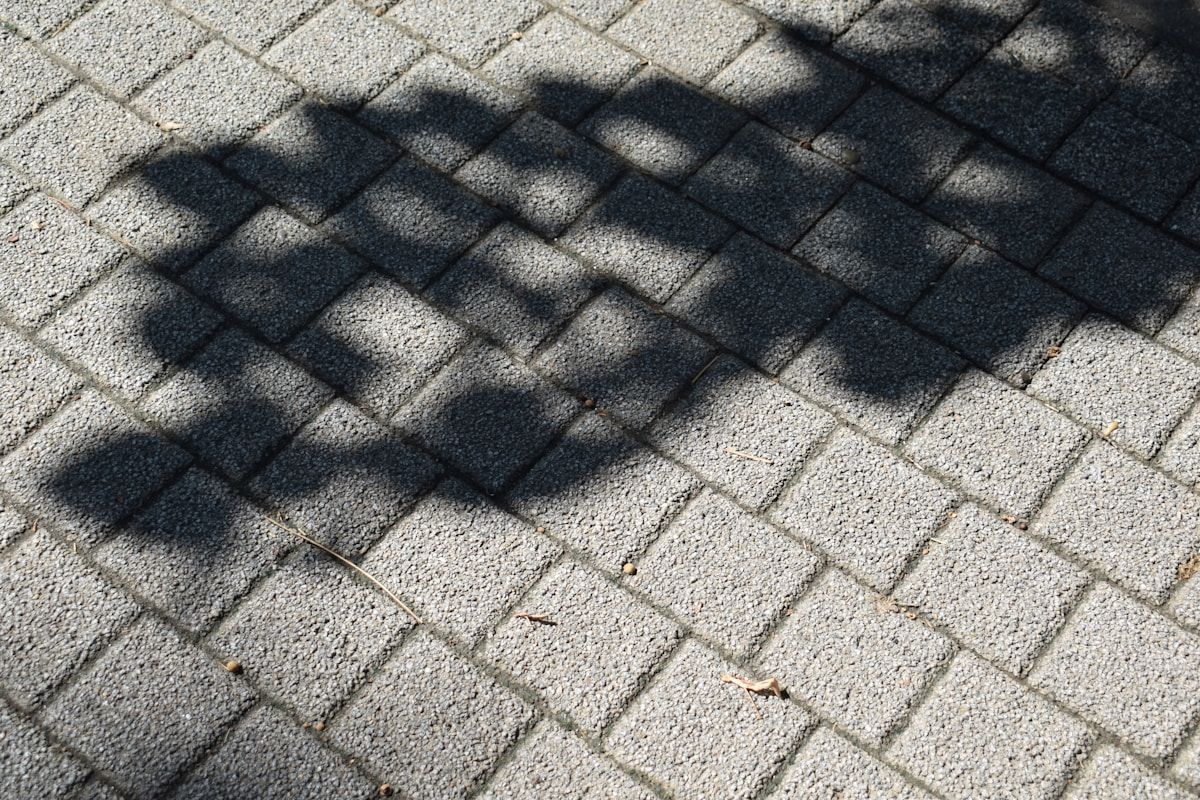 A shadow of a bicycle on a brick sidewalk