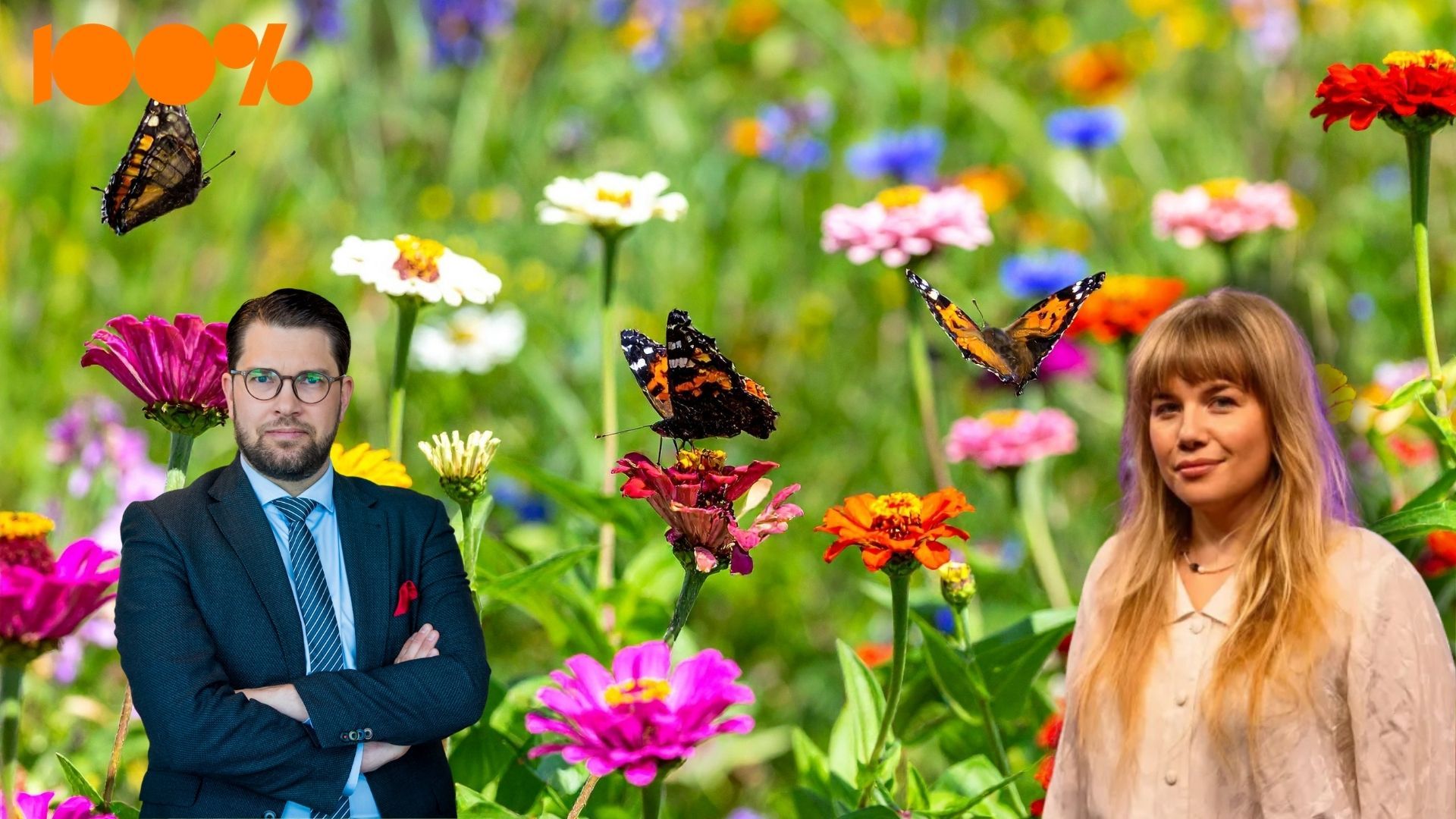 Därför uppfattas SD som ett vackert parti