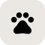 Pet Products
