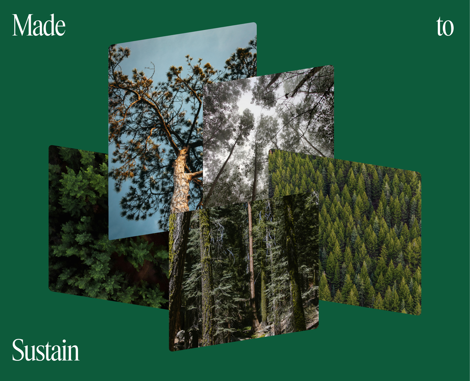 Made to sustain: Grow your business while protecting the planet