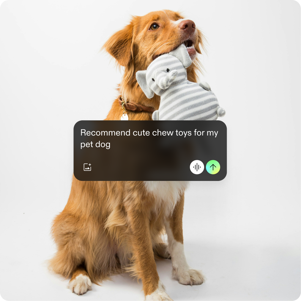 ui image